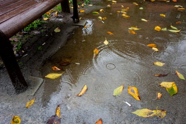 梅雨が来る前に！砂利でお庭の水はけを改善しよう