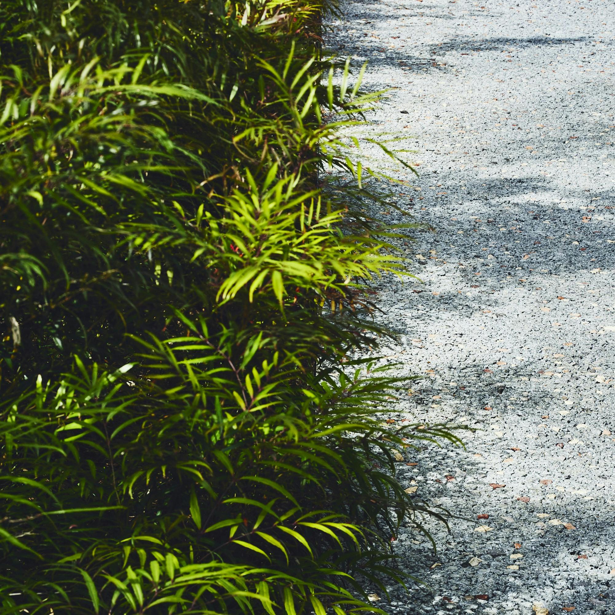 透水性コンクリート『ドライテックペイント』08_パンプキン｜グラベル